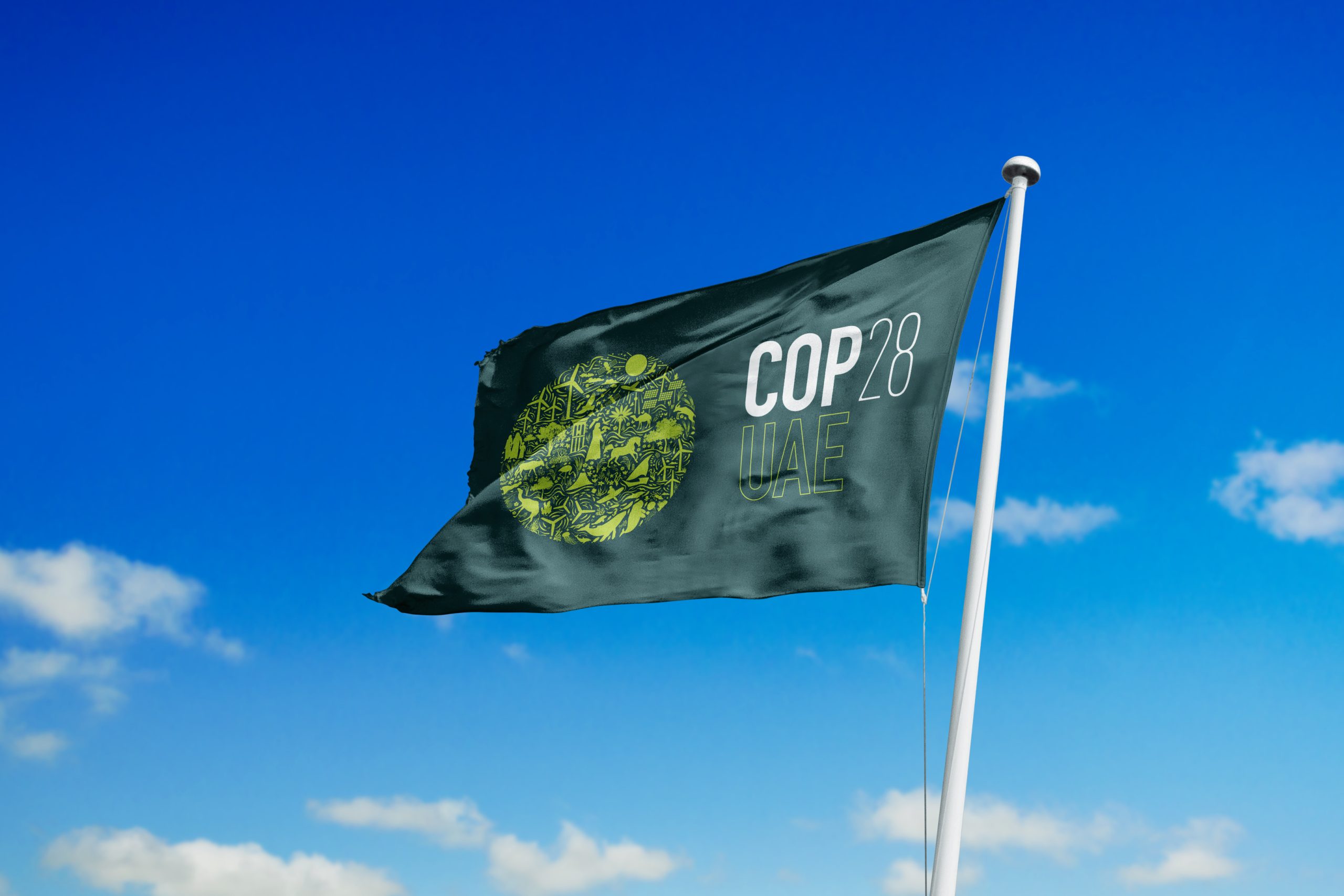 COP 28: Navigating the climate crossroads amidst global realities 